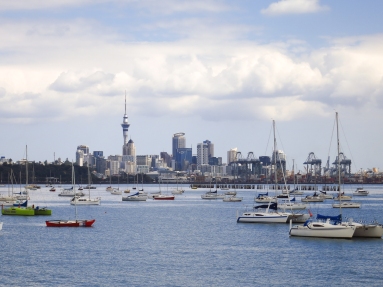 Auckland city with sailboats